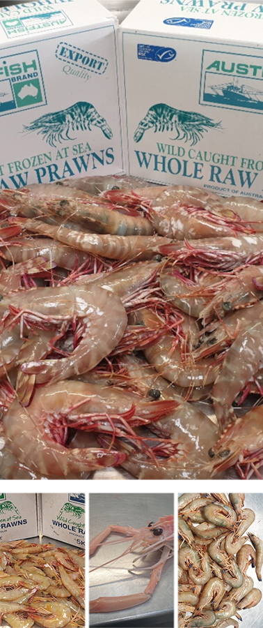 Jowter Seafoods Pty Ltd(约特尔海产有限公司)