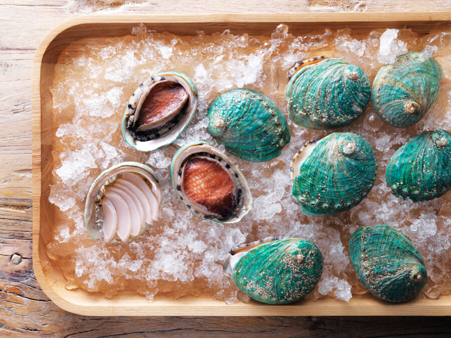 Jade Tiger Abalone Pty Ltd 1 Seafood-abalone