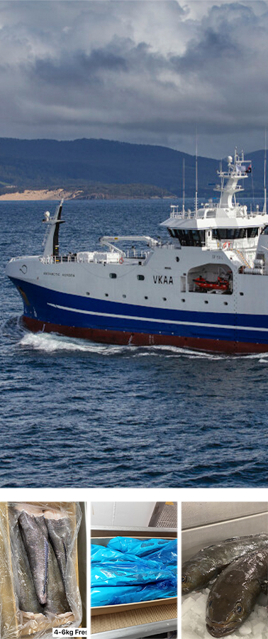 Australian Longline Fishing Pty Ltd(澳大利亚延绳钓渔业有限公司)