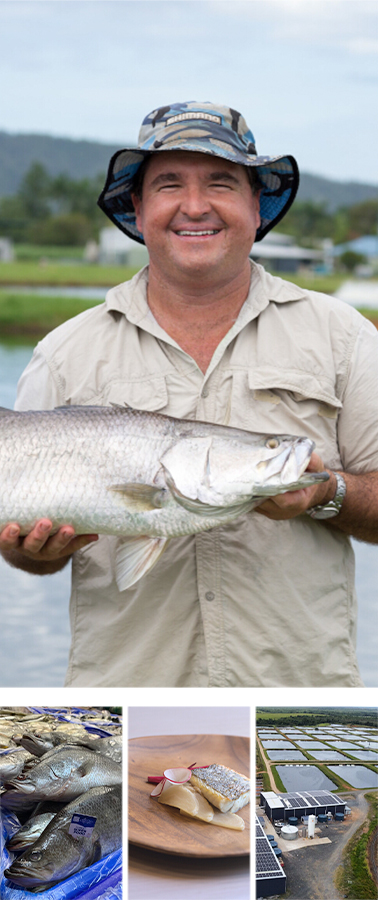 Mainstream Aquaculture (Infinity Blue Barramundi)(干流水产养殖公司)(无限蓝色盲曹鱼)
