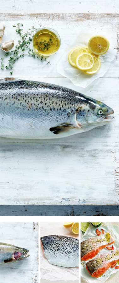 Petuna Aquaculture Pty Ltd(派图纳水产有限公司