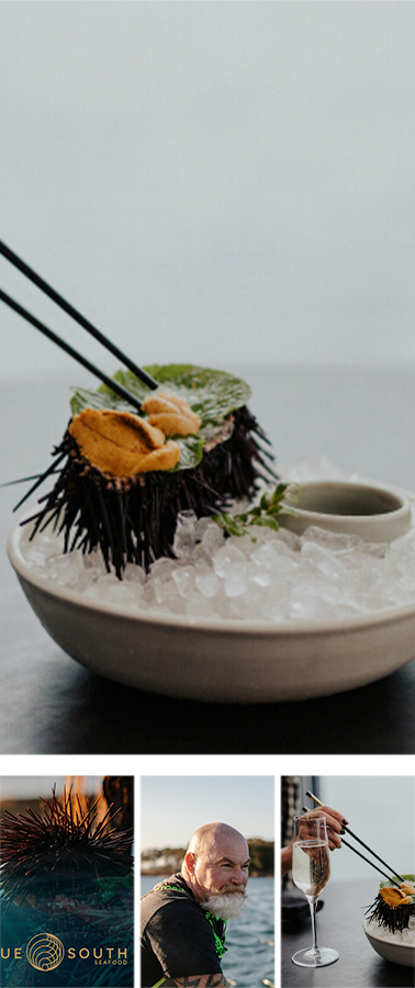 True South Seafoods(正宗南部海产公司)