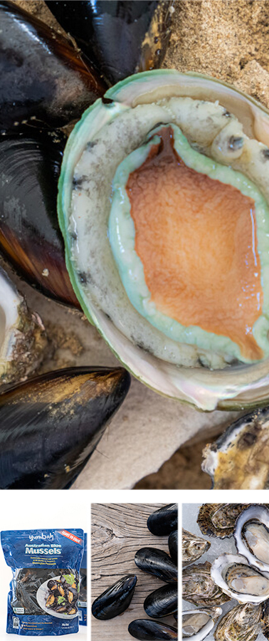 Yumbah Aquaculture（洋坝水产