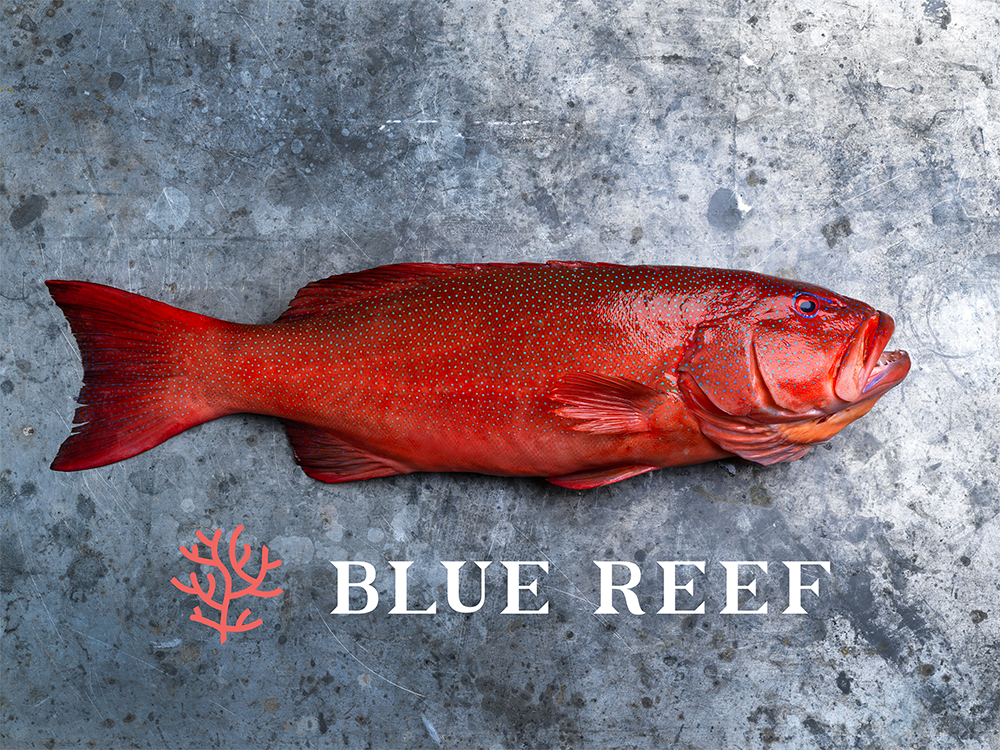 Blue Reef(蓝礁海产公司)